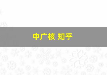 中广核 知乎